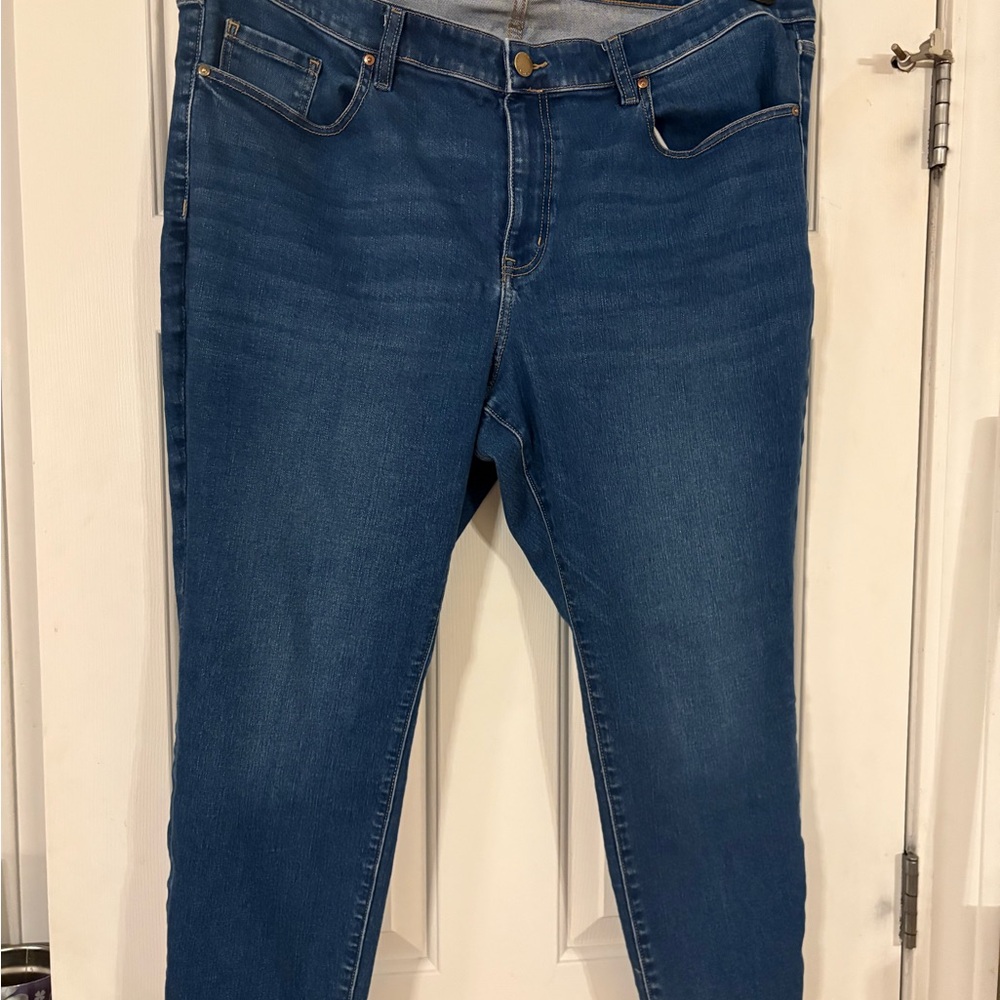 Lane Bryant Women's Skinny Jeans in Dark Blue